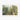 Urban Forest Mirage Fine Art Print / 30 x 20