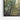 Urban Forest Mirage Framed Canvas (Black) / 48 x 32