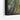 Urban Forest Mirage Framed Canvas (Black) / 48 x 32