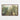 Urban Forest Mirage Framed Canvas (Walnut) / 48 x 32