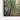 Urban Forest Mirage Framed Canvas (Walnut) / 48 x 32