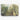 Urban Forest Mirage Canvas Wrap / 30 x 20