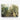 Urban Forest Mirage Canvas Wrap / 24 x 18