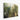 Urban Forest Mirage Canvas Wrap / 14 x 11