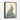 Majestic Peacock Memento Framed Canvas (Black) / 24 x 32