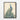 Majestic Peacock Memento Framed Canvas (Black) / 24 x 32