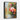 Flamingo Paradise Framed Canvas (Black) / 11 x 14