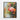 Flamingo Paradise Framed Canvas (Black) / 16 x 20