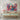 Vivid Jazz Ensemble Canvas Wrap / 48 x 32