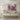 Vivid Jazz Ensemble Canvas Wrap / 32 x 24