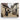 Cobblestone Village Stroll Canvas Wrap / 10 x 8