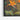 Tropical Brilliance Framed Canvas (Black) / 48 x 32