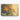 Tropical Brilliance Canvas Wrap / 48 x 32