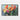 Vivid Bloom Impressions Framed Canvas (Black) / 30 x 20