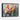 Vivid Bloom Impressions Framed Canvas (Black) / 32 x 24
