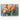 Vivid Bloom Impressions Canvas Wrap / 48 x 32