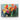 Vivid Bloom Impressions Canvas Wrap / 24 x 18