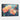 Vivid Blossom Hues Framed Canvas (Black) / 30 x 20