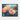 Vivid Blossom Hues Framed Canvas (Black) / 20 x 16