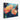 Vivid Blossom Hues Canvas Wrap / 20 x 16