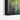 Sunlit Birch Symphony Framed Canvas (Black) / 20 x 16