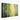 Sunlit Birch Symphony Canvas Wrap / 30 x 20