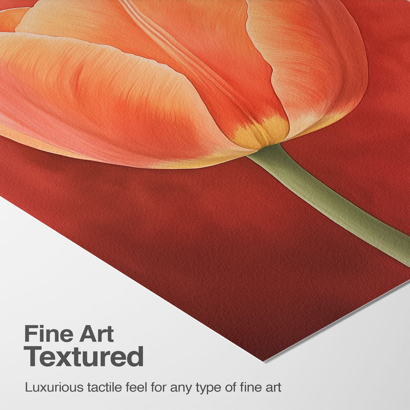 Luxurious Texture & Detail