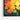 Vivid Petal Display Framed Canvas (Black) / 48 x 32