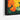 Vivid Petal Display Framed Canvas (Black) / 48 x 32