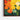 Vivid Petal Display Framed Canvas (Walnut) / 48 x 32