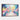 Colorful Bloom Harmony Framed Canvas (Walnut) / 48 x 32