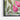 Blossoming Spring Harmony Framed Canvas (Black) / 48 x 32