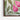 Blossoming Spring Harmony Framed Canvas (Walnut) / 48 x 32