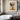 Color Harmony in Modern Plant Portrait Fine Art Print / 11 x 14