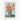 Vibrant Blooms in Modern Minimalism Fine Art Print / 32 x 48