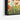 Vivid Poppies in Spring Breeze Framed Canvas (Black) / 48 x 32