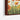 Vivid Poppies in Spring Breeze Framed Canvas (Walnut) / 32 x 24