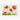 Vivid Sunrise Poppies in Bloom Fine Art Print / 48 x 32