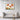 Vivid Sunrise Poppies in Bloom Framed Canvas (Black) / 48 x 32