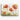 Vivid Sunrise Poppies in Bloom Canvas Wrap / 48 x 32
