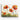 Vivid Sunrise Poppies in Bloom Canvas Wrap / 24 x 18