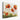 Vivid Sunrise Poppies in Bloom Canvas Wrap / 32 x 24