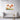 Vivid Sunrise Poppies in Bloom Canvas Wrap / 32 x 24