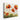 Vivid Sunrise Poppies in Bloom Canvas Wrap / 10 x 8