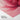 Blossoming Pink Lotus Serenity Fine Art Print / 24 x 32