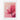Blossoming Pink Lotus Serenity Fine Art Print / 30 x 40