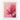 Blossoming Pink Lotus Serenity Fine Art Print / 16 x 20
