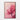Blossoming Pink Lotus Serenity Framed Canvas (Walnut) / 32 x 48