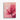 Blossoming Pink Lotus Serenity Canvas Wrap / 8 x 10