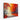 Autumn Blaze in Impressionist Strokes Canvas Wrap / 10 x 8